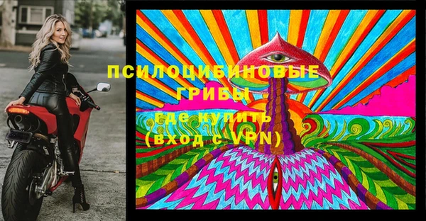 сатива Белокуриха
