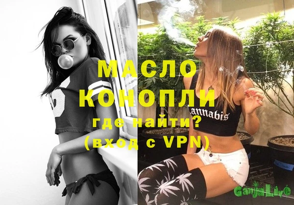 сатива Ростов
