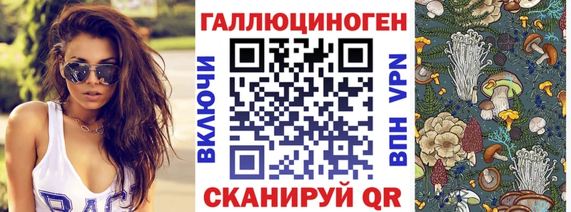 Псилоцибиновые грибы Cubensis  купить  цена  Приволжский 